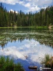 Montenegro Hiking Trails