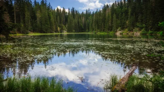 Montenegro Hiking Trails