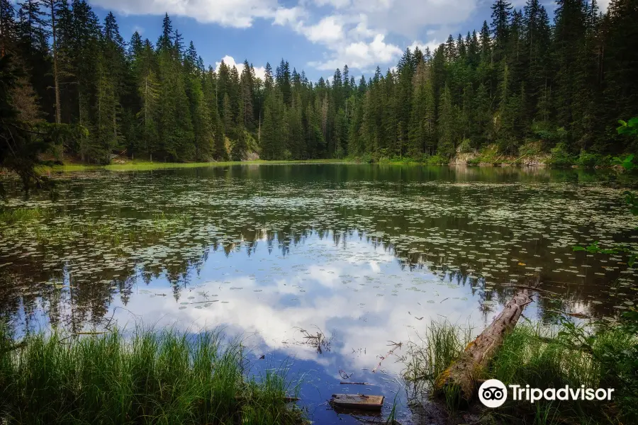 Montenegro Hiking Trails