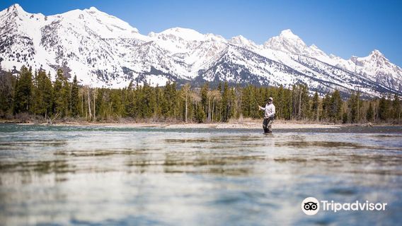 Grand Fishing Adventures