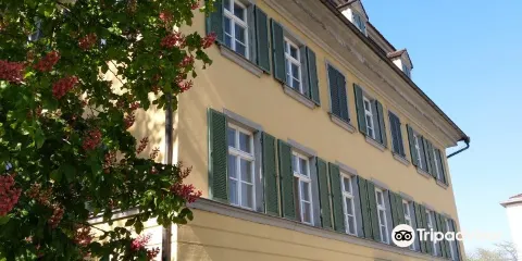 Archaologisches Hegau-Museum