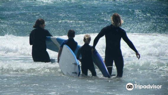 Kool Katz Surf School