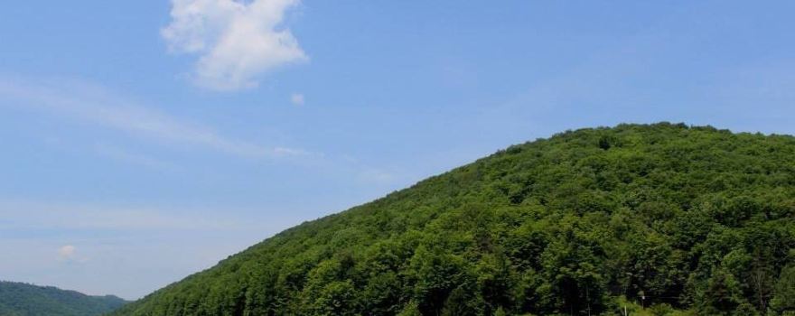 Lyman Run State Park