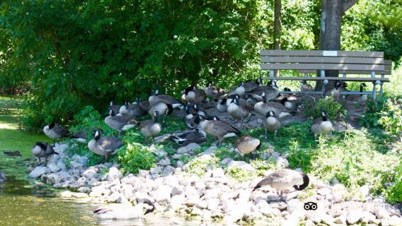 Bay Beach Wildlife Sanctuary