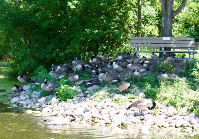 Bay Beach Wildlife Sanctuary