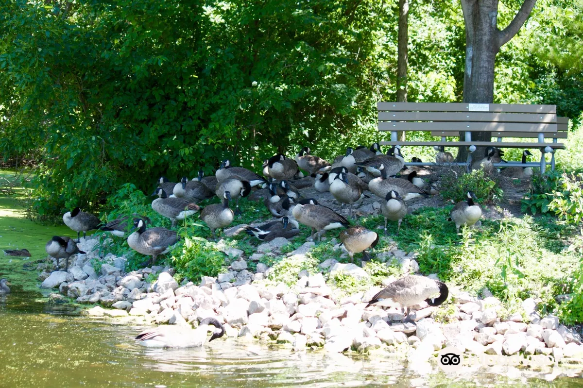 Bay Beach Wildlife Sanctuary