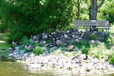 Bay Beach Wildlife Sanctuary