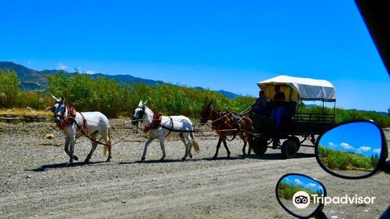 Buggy Malaga