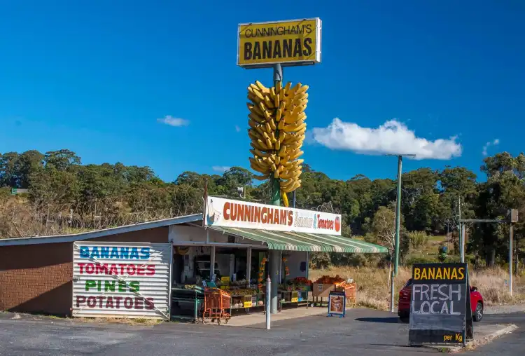 Hotels in North Boambee Valley