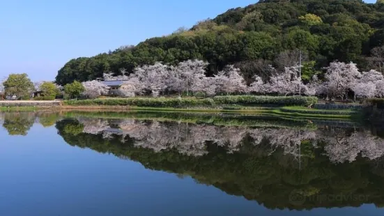 Mt. Miminashi