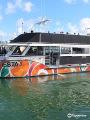 Fiesta Cruises of Miami