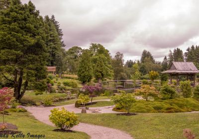 The Japanese Garden