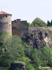 Château de Busséol