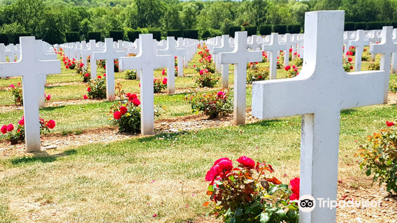 Verdun Battlefield