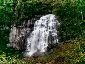 Gorges State Park