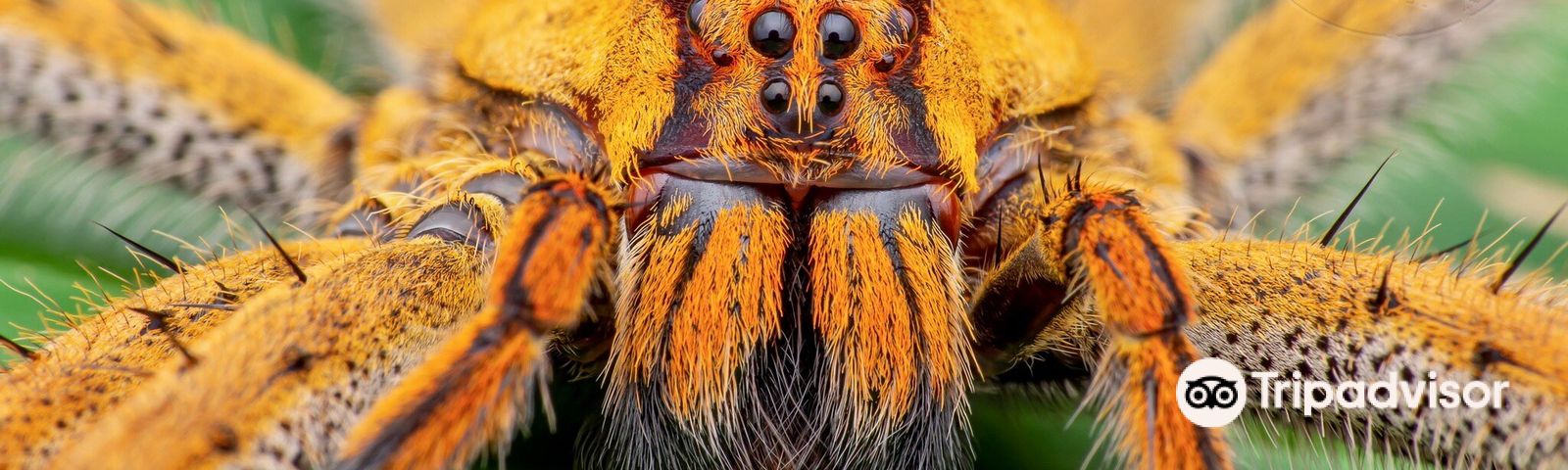 까위따데이 투어