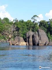 Essequibo River