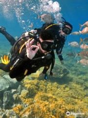 Bonito Diving Lanzarote