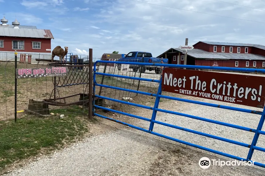 Where Pigs Fly Farm