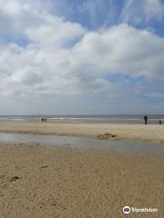 Badstrand Hargen Aan Zee