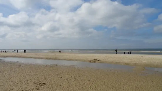 Badstrand Hargen Aan Zee