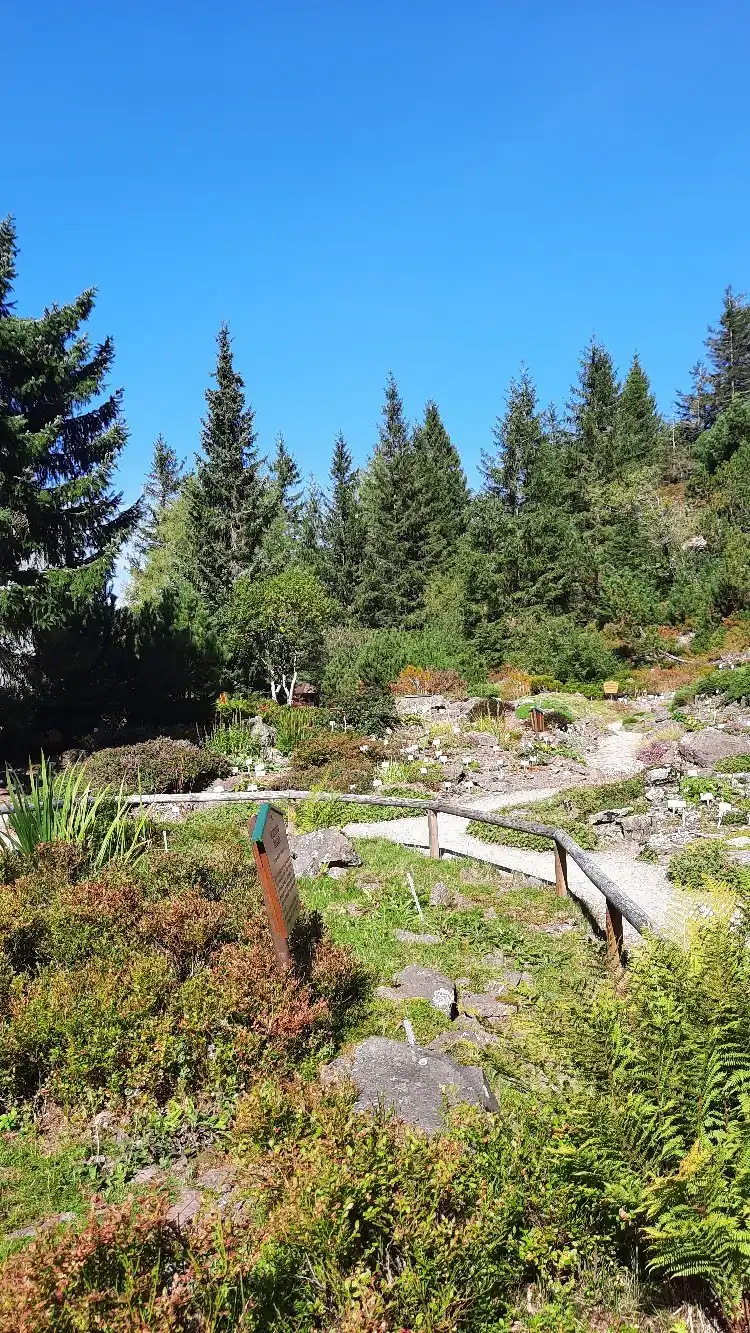 Hotels near Rennsteiggarten Oberhof