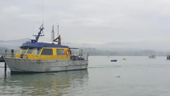 Moeraki Fishing Charters