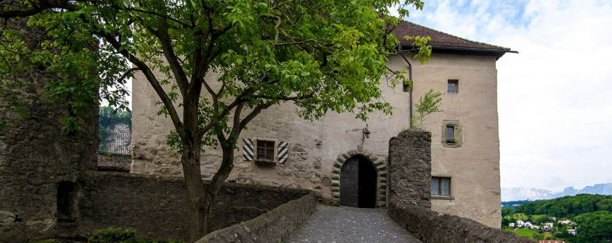 Schattenburg Museum