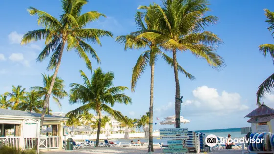 South Beach