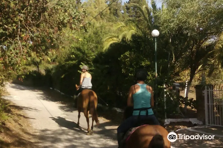 Horse Riding Kourkoumeli