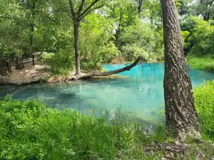 Parco del Lavino