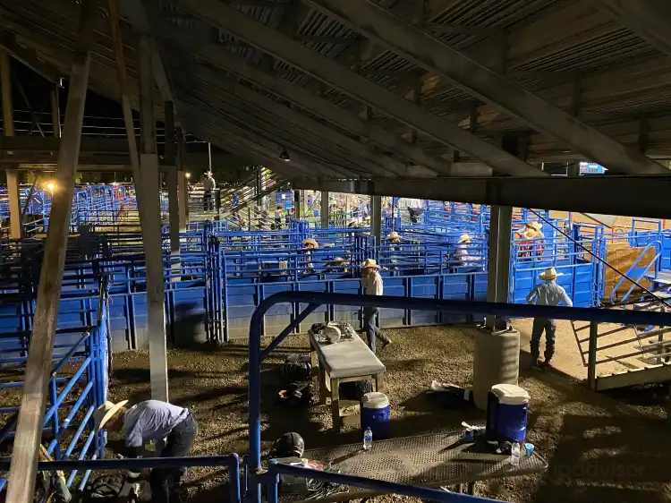 Hotels near Steamboat Pro Rodeo