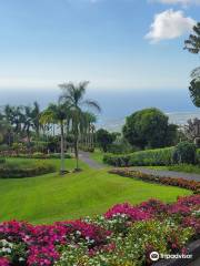 Mauka Meadows Coffee Farm