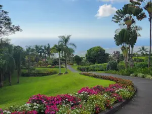 Mauka Meadows Coffee Farm