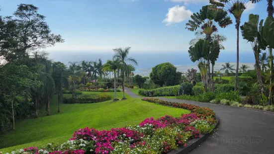 Mauka Meadows Coffee Farm