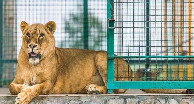 Zoopark Limpopo