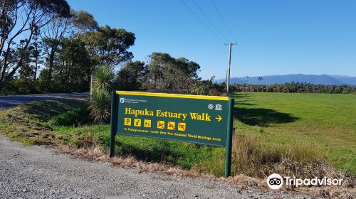 Hapuka Estuary Walk