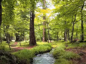 Shiki no Sato (Village of Four Seasons)