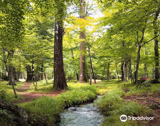 福島 自由行套票