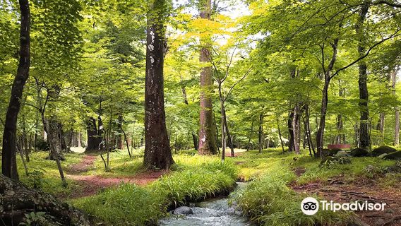 Shiki no Sato (Village of Four Seasons)