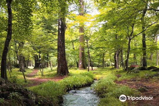 Shiki no Sato (Village of Four Seasons)
