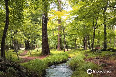 Shiki no Sato (Village of Four Seasons)