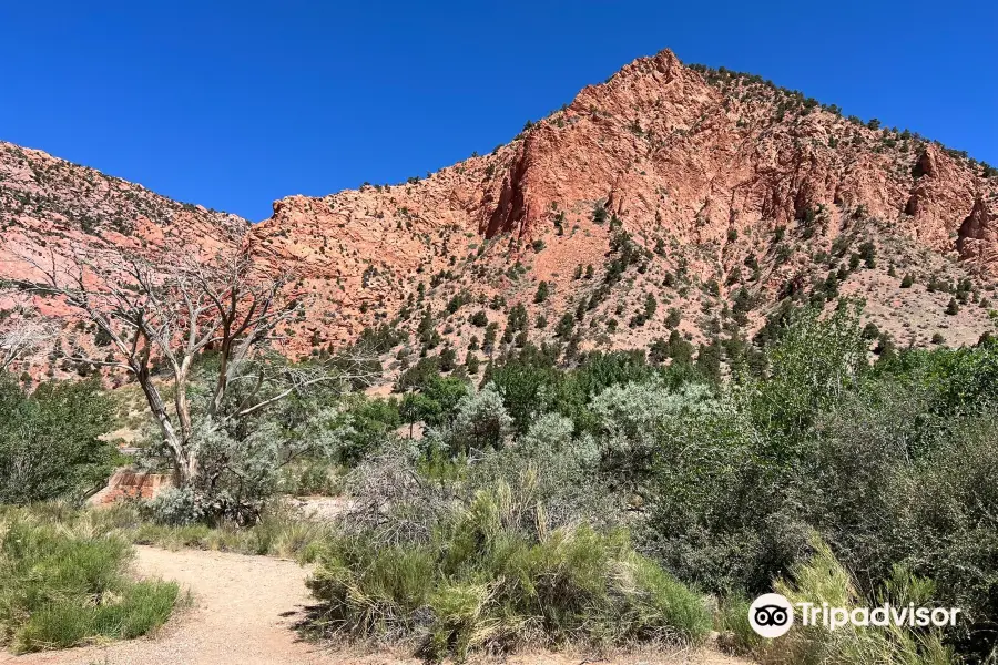 Coal Creek Trail