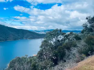 Foggs Lookout