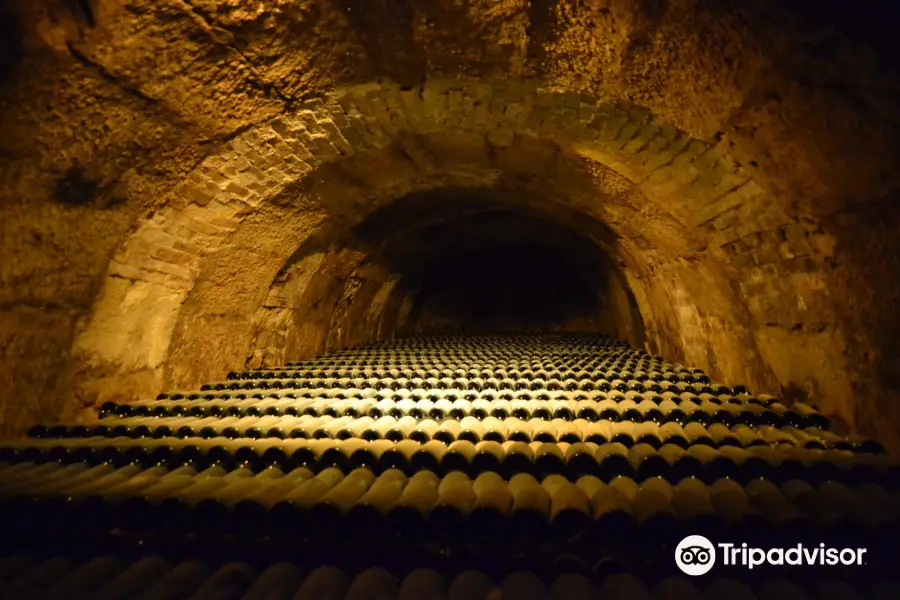 Bodega Conde de los Andes