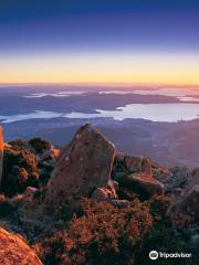 Mt Wellington Descent Bike Ride