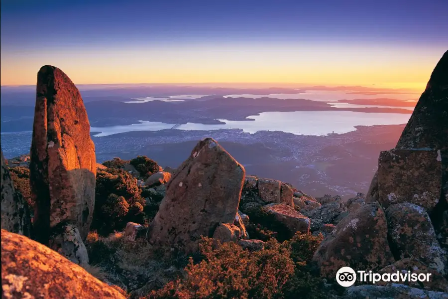 Mt Wellington Descent Bike Ride