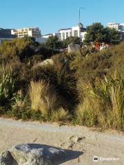 Waitangi Park