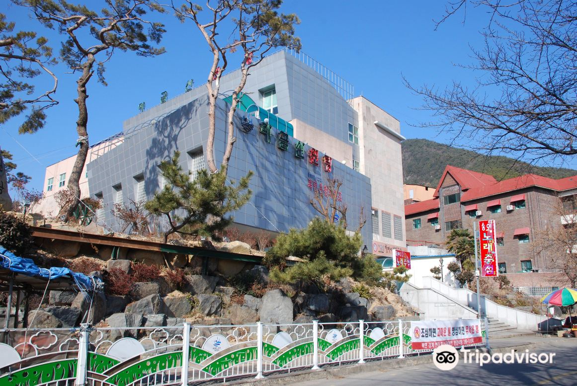 마금산 온천 전경