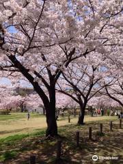 Fujigaoka Design Park